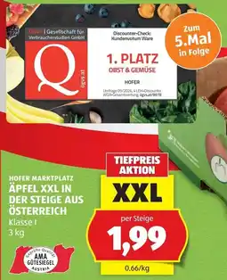 Hofer Äpfel XXL Angebot