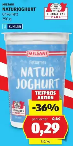 Hofer Milsani Naturjoghurt Angebot