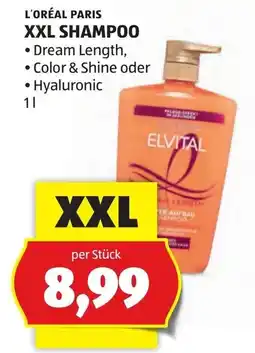 Hofer L'Oréal Paris XXL Shampoo Angebot