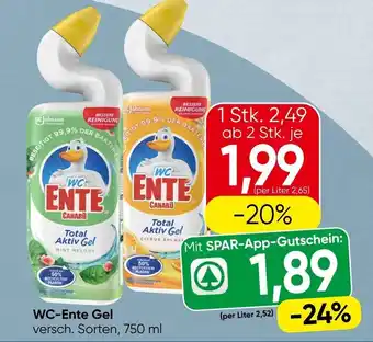 WC-Ente Gel