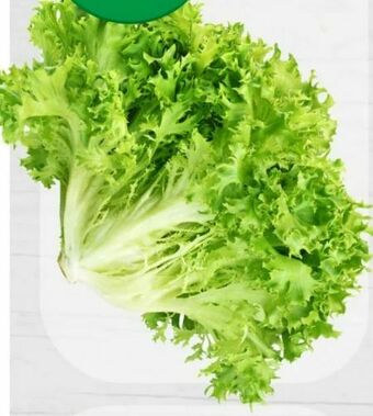ETSAN Salat Grazer Angebot
