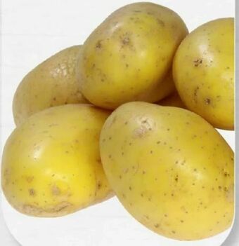 ETSAN Kartoffeln Angebot