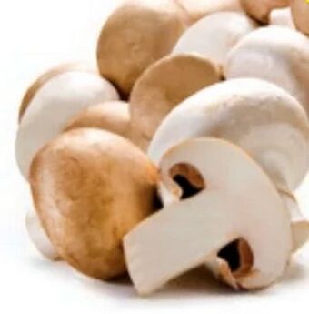 Hofer Champignons Angebot