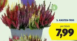 Hofer Kasten-trio Angebot