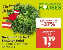 ADEG Endivien Salat Angebot
