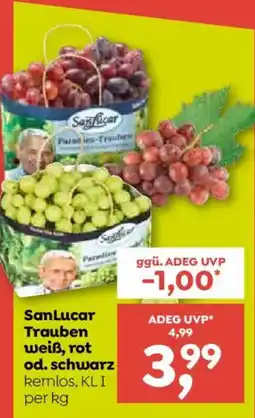 ADEG SanLucar Trauben Angebot