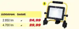 Zgonc Gestell Angebot