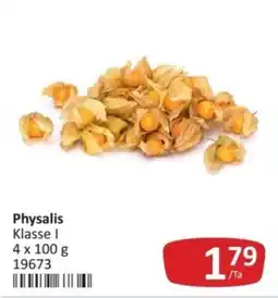 Kastner Physalis Klasse I Angebot
