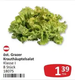 Kastner öst. Grazer Krauthäuptelsalat Angebot