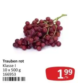 Kastner Trauben rot Angebot