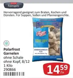 Kastner Polarfrost Garnelen ohne Schale Angebot