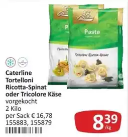 Kastner Caterline Tortelloni Ricotta-Spinat Angebot