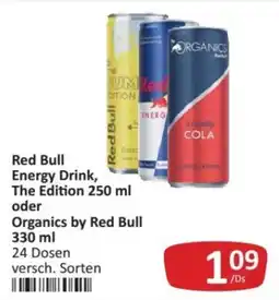 Kastner Red Bull Energy Drink Angebot
