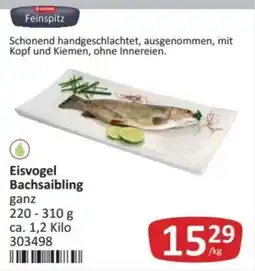 Kastner Feinspitz Eisvogel Bachsaibling Angebot