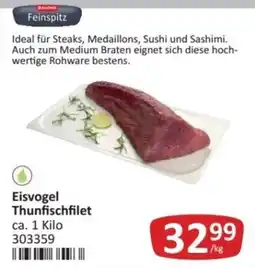 Kastner Eisvogel Thunfischfilet Angebot