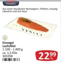 Kastner Eisvogel Lachsfilet Angebot