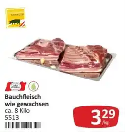 Kastner donauland SCHWEIN Bauchfleisch wie gewachsen Angebot