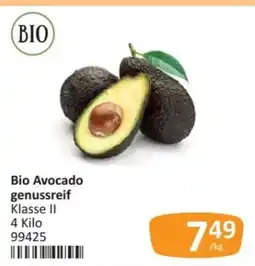Kastner Bio Avocado Angebot