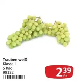 Kastner Trauben weiß Angebot