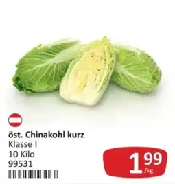 Kastner öst. Chinakohl kurz Angebot
