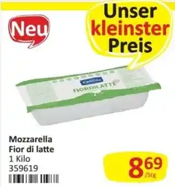 Kastner Mozzarella Fior di latte Angebot