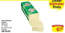 Kastner Ammerländer Tilsiter Angebot