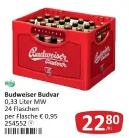 Kastner Budweiser Budvar Angebot
