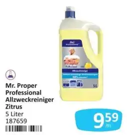 Kastner Mr. Proper Professional Allzweckreiniger Zitrus Angebot