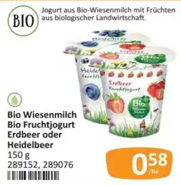 Kastner Bio Wiesenmilch Bio Fruchtjogurt Angebot