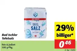 Kastner Bad Ischler Tafelsalz Angebot