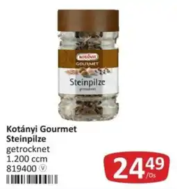 Kastner Kotányi Gourmet Steinpilze Angebot