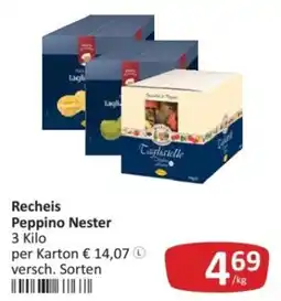 Kastner Recheis Peppino Nester Angebot