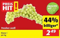 Kastner Trauben weiß Angebot