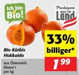 Kastner Bio Kürbis Hokkaido Angebot