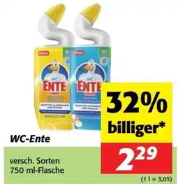 Kastner WC-Ente Angebot