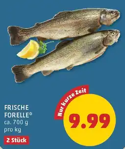 PENNY Frische Forelle Angebot