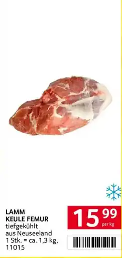 Transgourmet Lamm Keule Femur Angebot