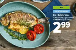 Billa Bio-Goldbrasse Angebot