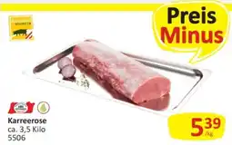 Kastner Karreerose Angebot