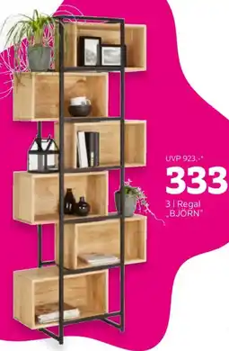 Mömax Regal „BJÖRN“ Angebot