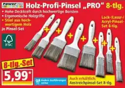 Norma Holz-Profi-Pinsel PRO Angebot