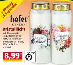 Norma hofer Kristalllicht Angebot