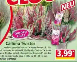 Norma Garden Girls Calluna Twister Angebot