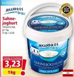 Norma Meandros Sahnejoghurt Angebot