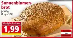 Norma Sonnenblumenbrot Angebot