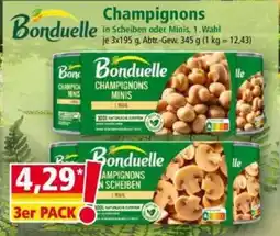 Norma Bonduelle Champignons Angebot