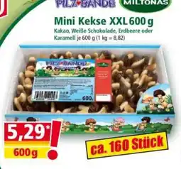 Norma Mini Kekse XXL Angebot