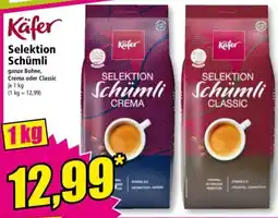 Norma Käfer Selektion Schümli Angebot
