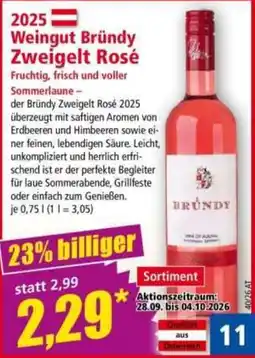 Norma Weingut Bründy Zweigelt Rosé Angebot