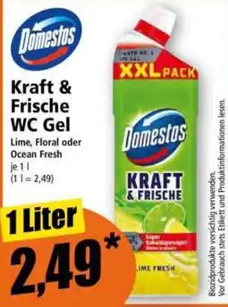 Norma Domestos Kraft & Frische WC Gel Angebot